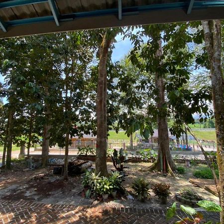 Homestay Dusun Ana Balun Slim River Buitenkant foto